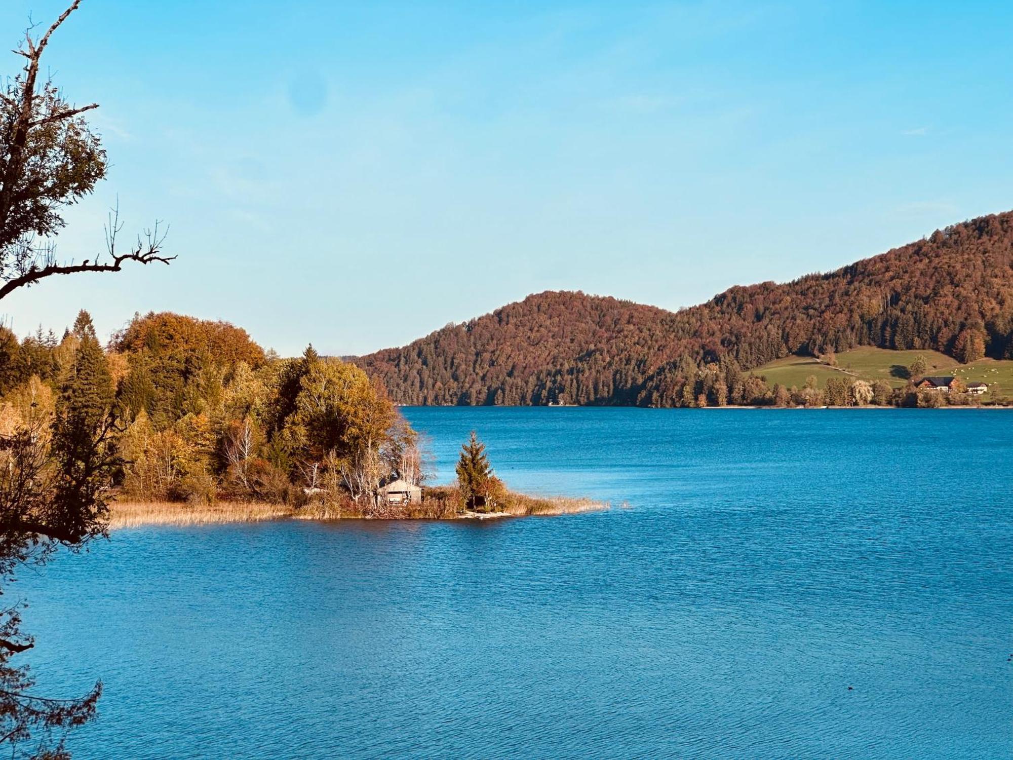 Appartamento Brunnwirt Essen & Wohnen Fuschl am See Esterno foto