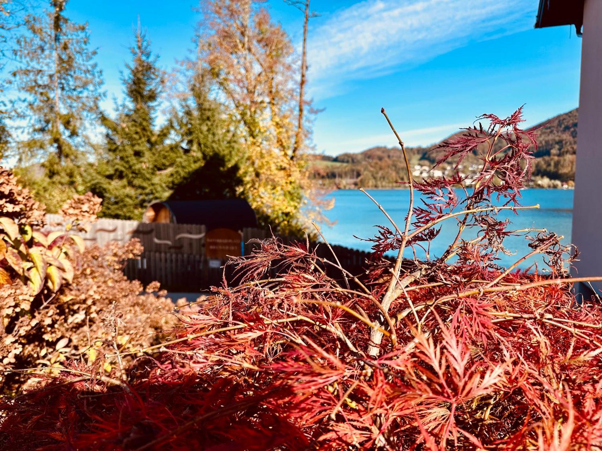 Appartamento Brunnwirt Essen & Wohnen Fuschl am See Esterno foto